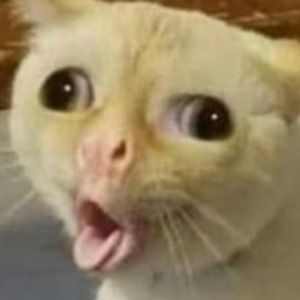 Meet your Posher, Ariana